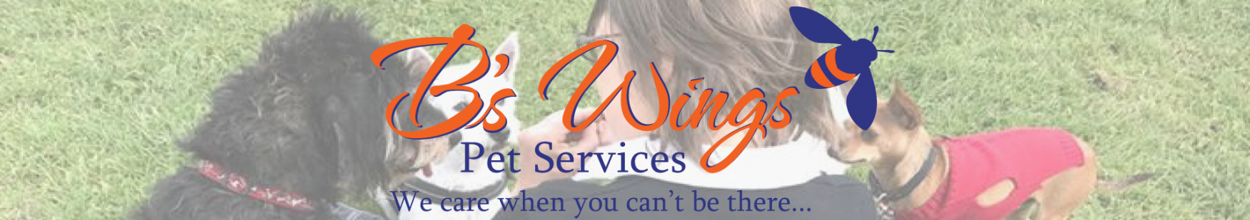 B's Wings Pet  Services